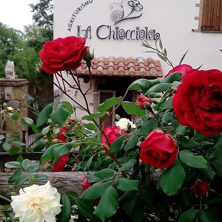 Agriturismo La Chiocciola Poggio Murella Ngoại thất bức ảnh