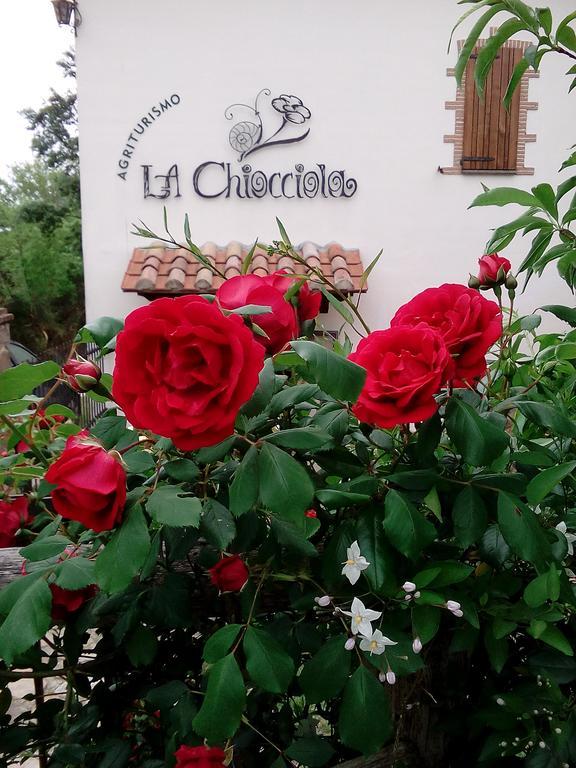 Agriturismo La Chiocciola Poggio Murella Ngoại thất bức ảnh