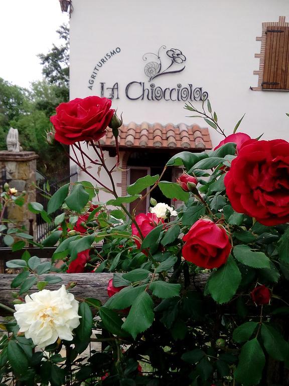 Agriturismo La Chiocciola Poggio Murella Ngoại thất bức ảnh