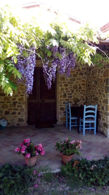 Agriturismo La Chiocciola Poggio Murella Ngoại thất bức ảnh