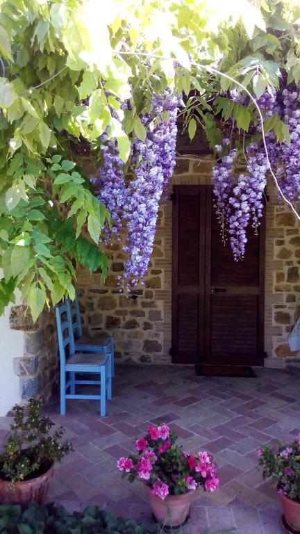 Agriturismo La Chiocciola Poggio Murella Ngoại thất bức ảnh